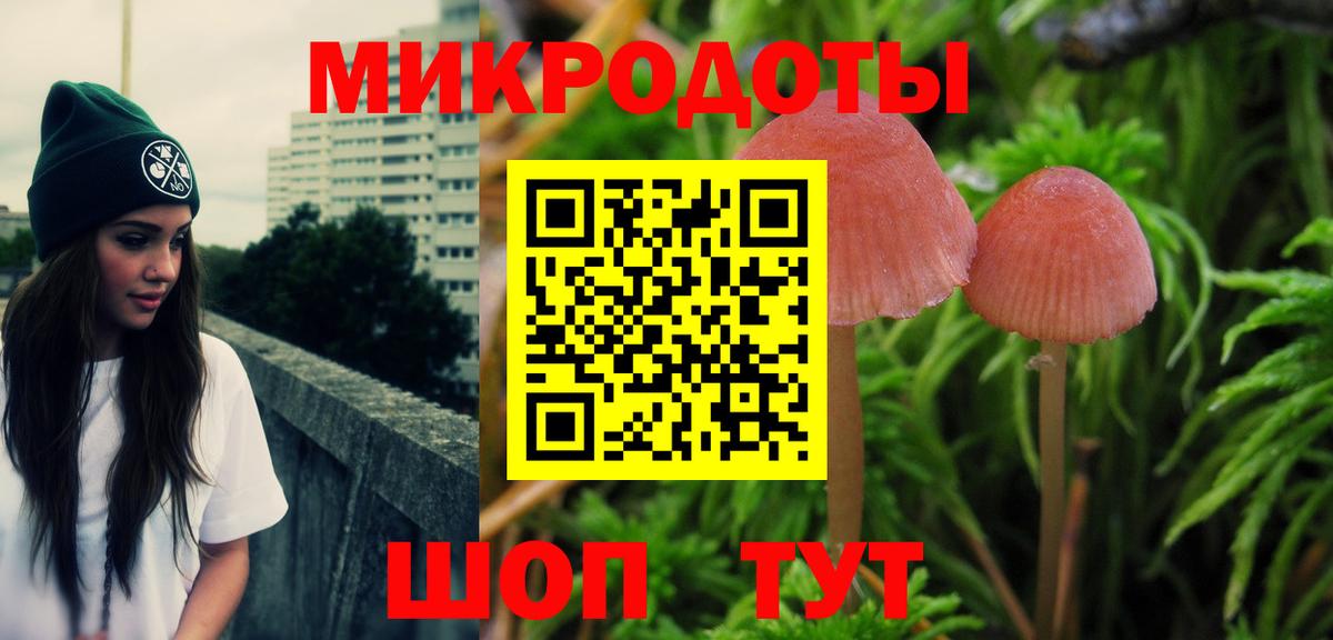 Псилоцибиновые грибы GOLDEN TEACHER  как найти наркотики  Ачинск  Вход с VPN 